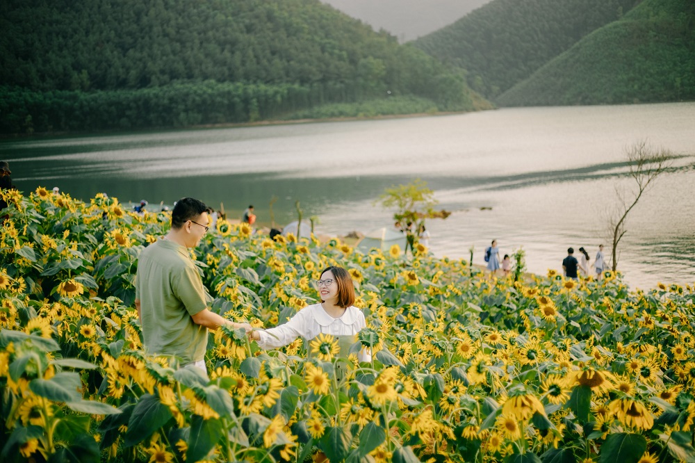 đồi hoa Hồ Khe Ngang Huế