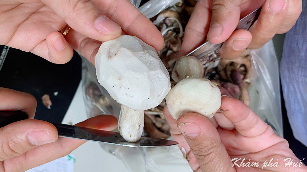 Nấm tràm Huế