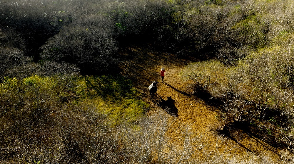 Rú Chá - Rừng ngập mặn nguyên sinh giữa lòng thành phố Huế Rú Chá - Rừng ngập mặn nguyên sinh giữa lòng thành phố Huế