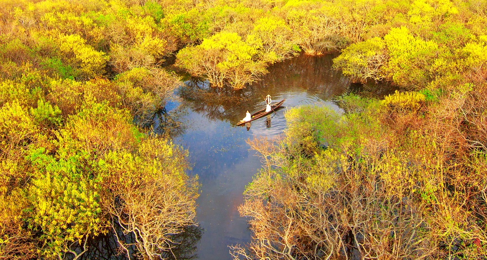 Rú Chá - Rừng ngập mặn nguyên sinh giữa lòng thành phố Huế Rú Chá - Rừng ngập mặn nguyên sinh giữa lòng thành phố Huế