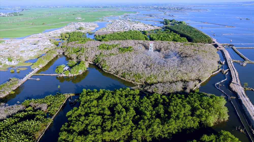 Du lịch cộng đồng Huế, Rú Chá, vẻ đẹp Rú Chá, rừng ngập mặn Rú Chá Huế, đường đến Rú Chá, trải nghiệm Rú Chá, du lịch Huế Du lịch cộng đồng Huế, Rú Chá, vẻ đẹp Rú Chá, rừng ngập mặn Rú Chá Huế, đường đến Rú Chá, trải nghiệm Rú Chá, du lịch Huế