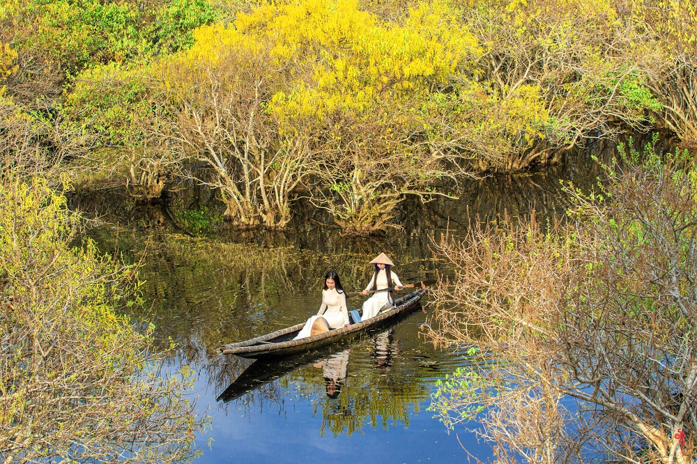 Rú Chá - Rừng ngập mặn nguyên sinh giữa lòng thành phố Huế Rú Chá - Rừng ngập mặn nguyên sinh giữa lòng thành phố Huế