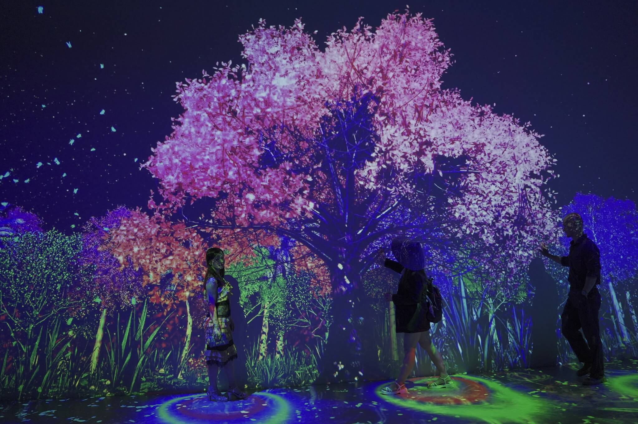 Sống Platform Huế, Sống Platform Huế tuyển dụng, Sống Lab Huế, Dương Đỗ, Tùng monkey, giá vé vào tham quan Sống Platform, Sống Platform có những gì, Bảo tàng nghệ thuật kỹ thuật số đầu tiên tại Việt Nam,  Sống Platform Huế, Sống Platform Huế tuyển dụng, Sống Lab Huế, Dương Đỗ, Tùng monkey, giá vé vào tham quan Sống Platform, Sống Platform có những gì, Bảo tàng nghệ thuật kỹ thuật số đầu tiên tại Việt Nam,