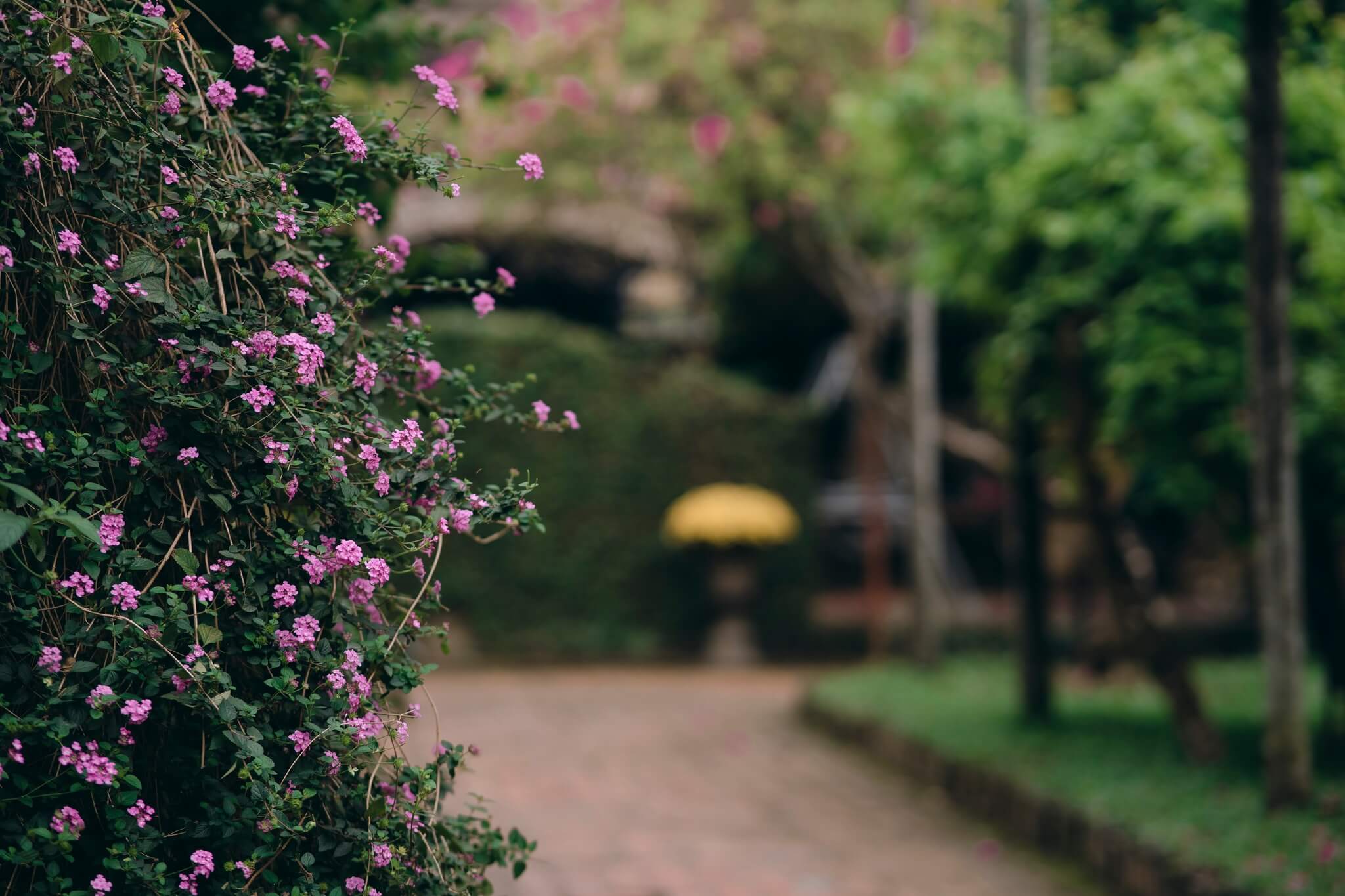 MandarinCoffeeHue MandarinCoffeeHue