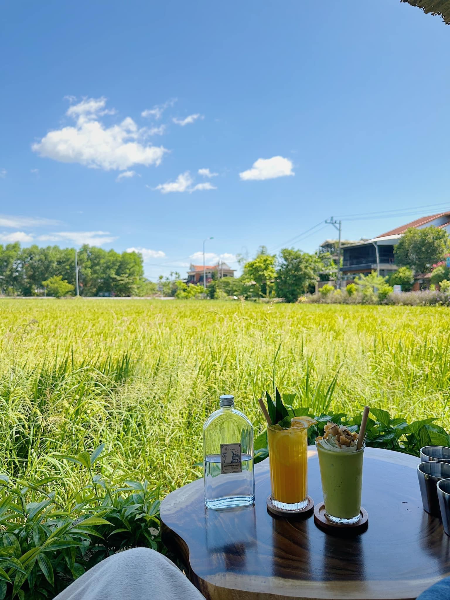 Tiệm cafe tụi mình huế, review quán cafe có tâm ở huế, quán cafe mới khai trương ở huế, quán cafe ở huế có không gian thoáng, review quán cafe huế, check in quán cafe huế đẹp, top quán cafe mới mở ở Huế Tiệm cafe tụi mình huế, review quán cafe có tâm ở huế, quán cafe mới khai trương ở huế, quán cafe ở huế có không gian thoáng, review quán cafe huế, check in quán cafe huế đẹp, top quán cafe mới mở ở Huế