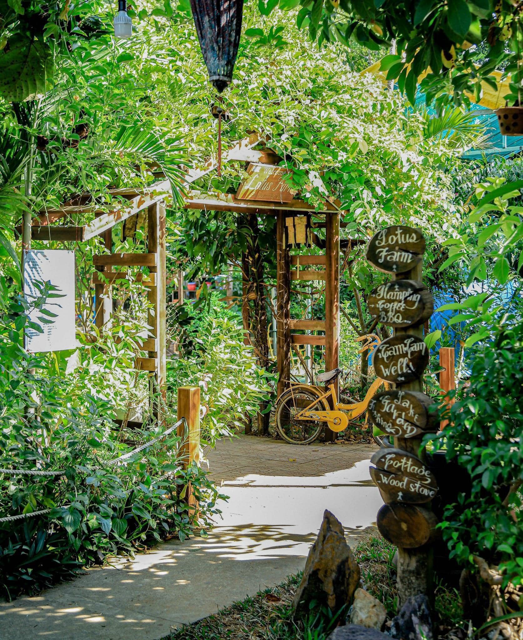 Lối đi xanh mát trong khuôn viên Hue Lotus Homestay Thủy Xuân Huế