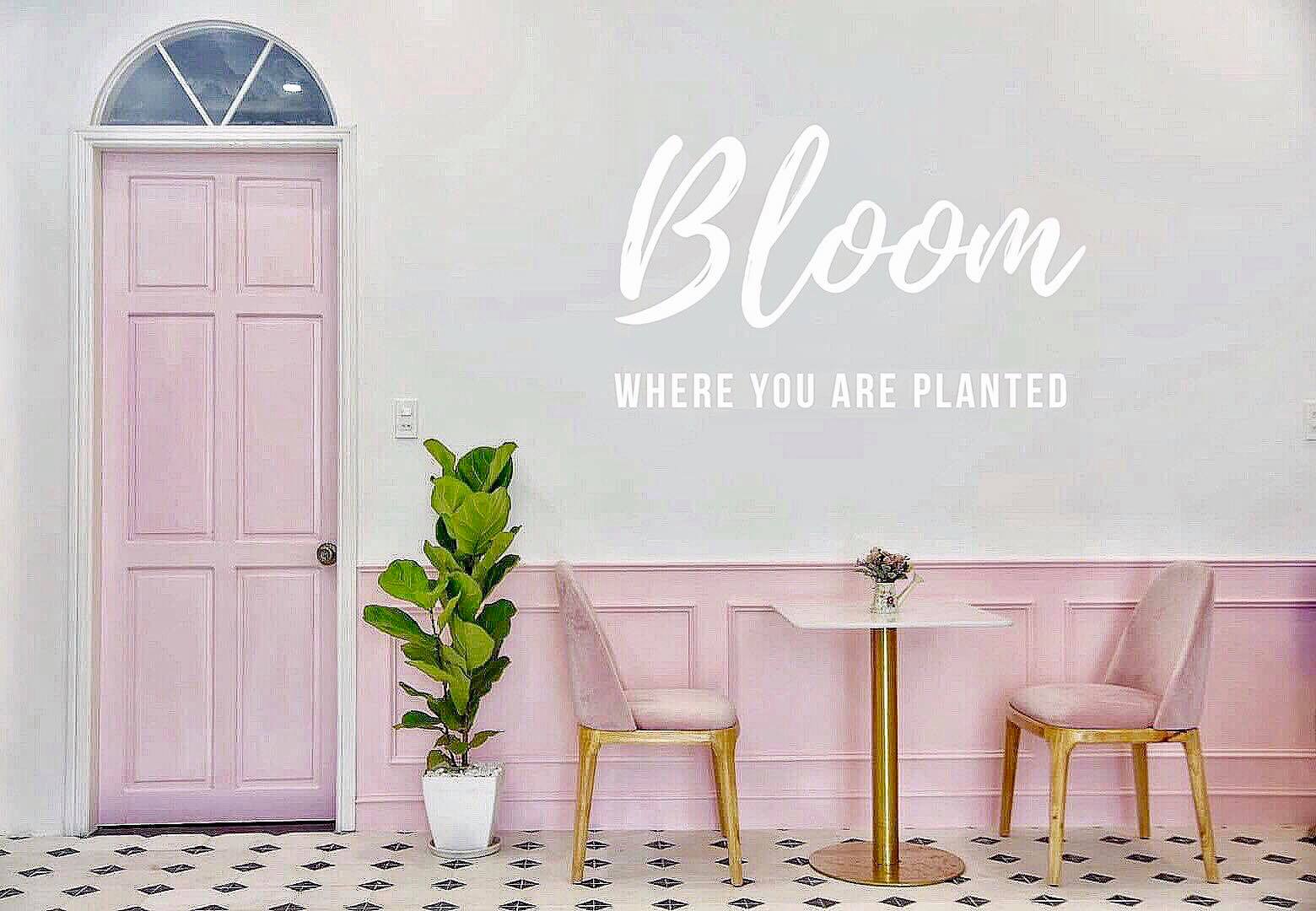 Top 10 homestay đẹp nằm gần trung tâm thành phố Huế Top 10 homestay đẹp nằm gần trung tâm thành phố Huế