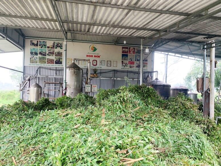 Tea tree oil, Hoa Nén, Essential oils, Vegan products, Thua Thien Hue, Cultural promotion, Local products, Organic farming, Health and wellness products Tea tree oil, Hoa Nén, Essential oils, Vegan products, Thua Thien Hue, Cultural promotion, Local products, Organic farming, Health and wellness products