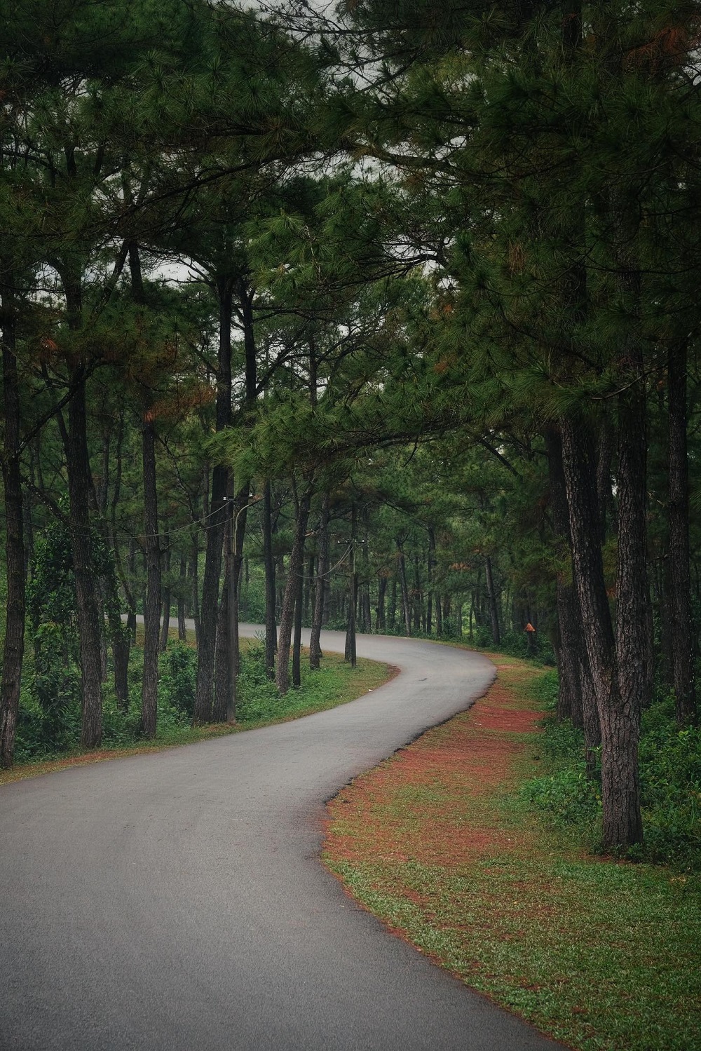 Đến Huế, chỉ cần đưa máy ảnh lên, sẽ có những tấm ảnh đẹp Đến Huế, chỉ cần đưa máy ảnh lên, sẽ có những tấm ảnh đẹp