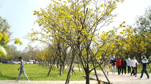 con đường hoàng mai xứ huế