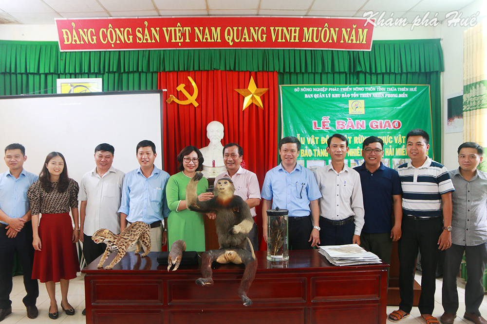 bao tang thien nhien duyen hai mien trung bao tang thien nhien duyen hai mien trung