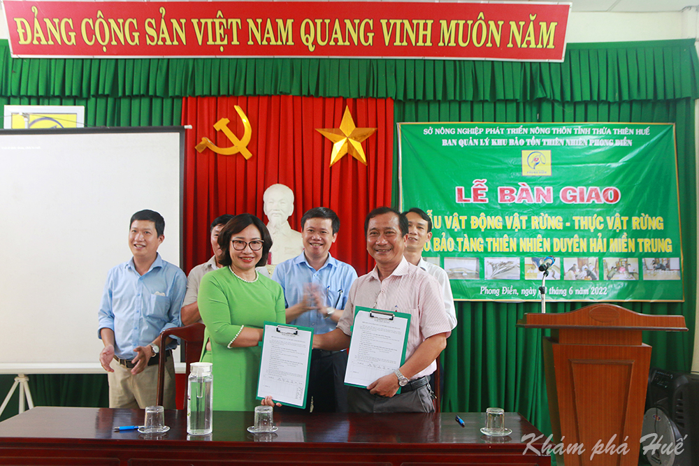 bao tang thien nhien duyen hai miên trung bao tang thien nhien duyen hai miên trung