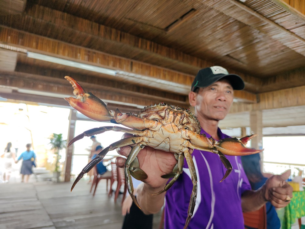 du lịch Đầm Chuồn, trải nghiệm, du lịch xanh Huế, điểm du lịch hấp dẫn tại Huế, du lịch không rác thải nhựa