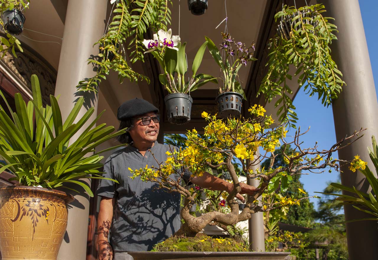 Nham and his father spent many years to create this tree’s shape Nham and his father spent many years to create this tree’s shape