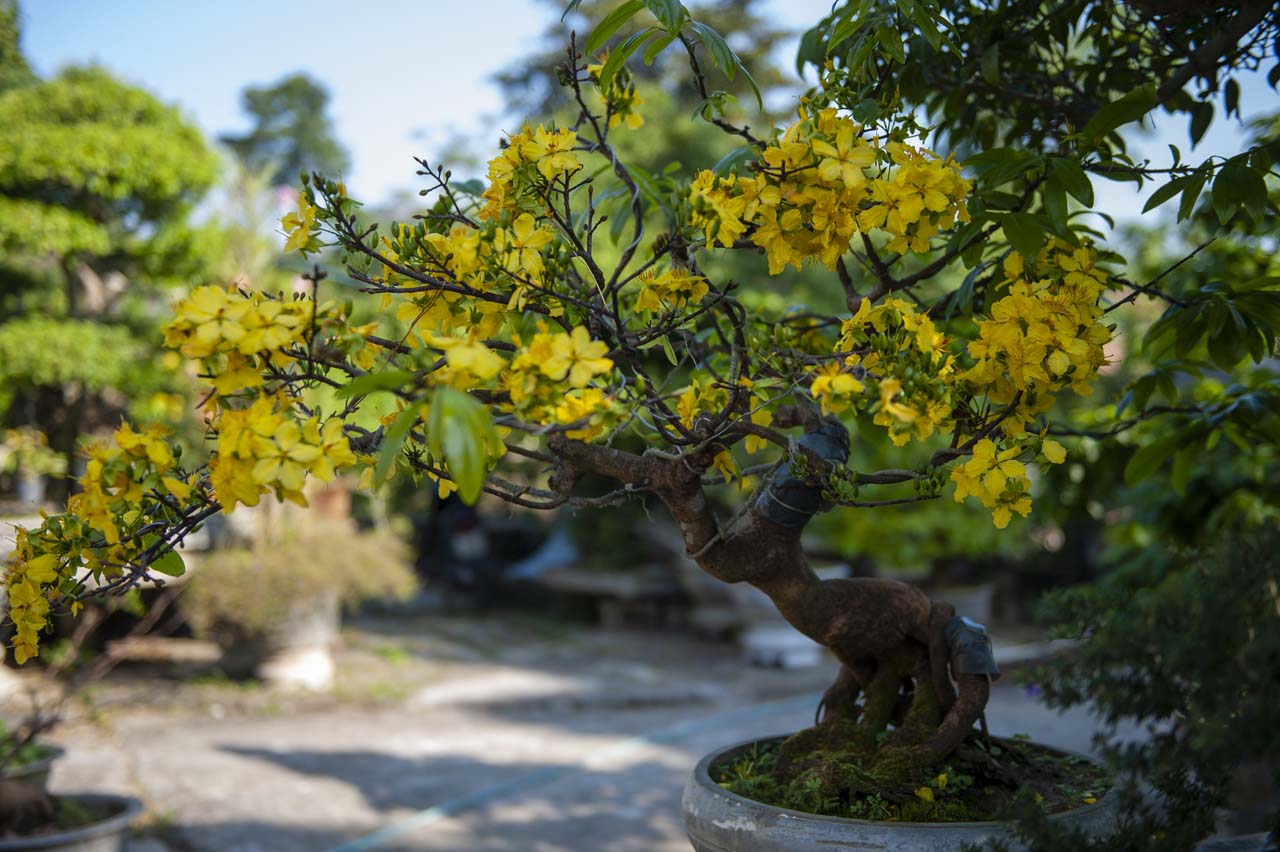 The most important part is to create beautiful roots The most important part is to create beautiful roots