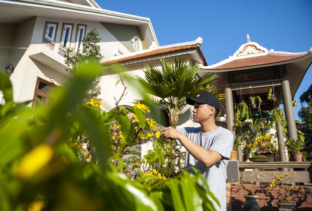 Caring for the apricot trees early in the morning Caring for the apricot trees early in the morning