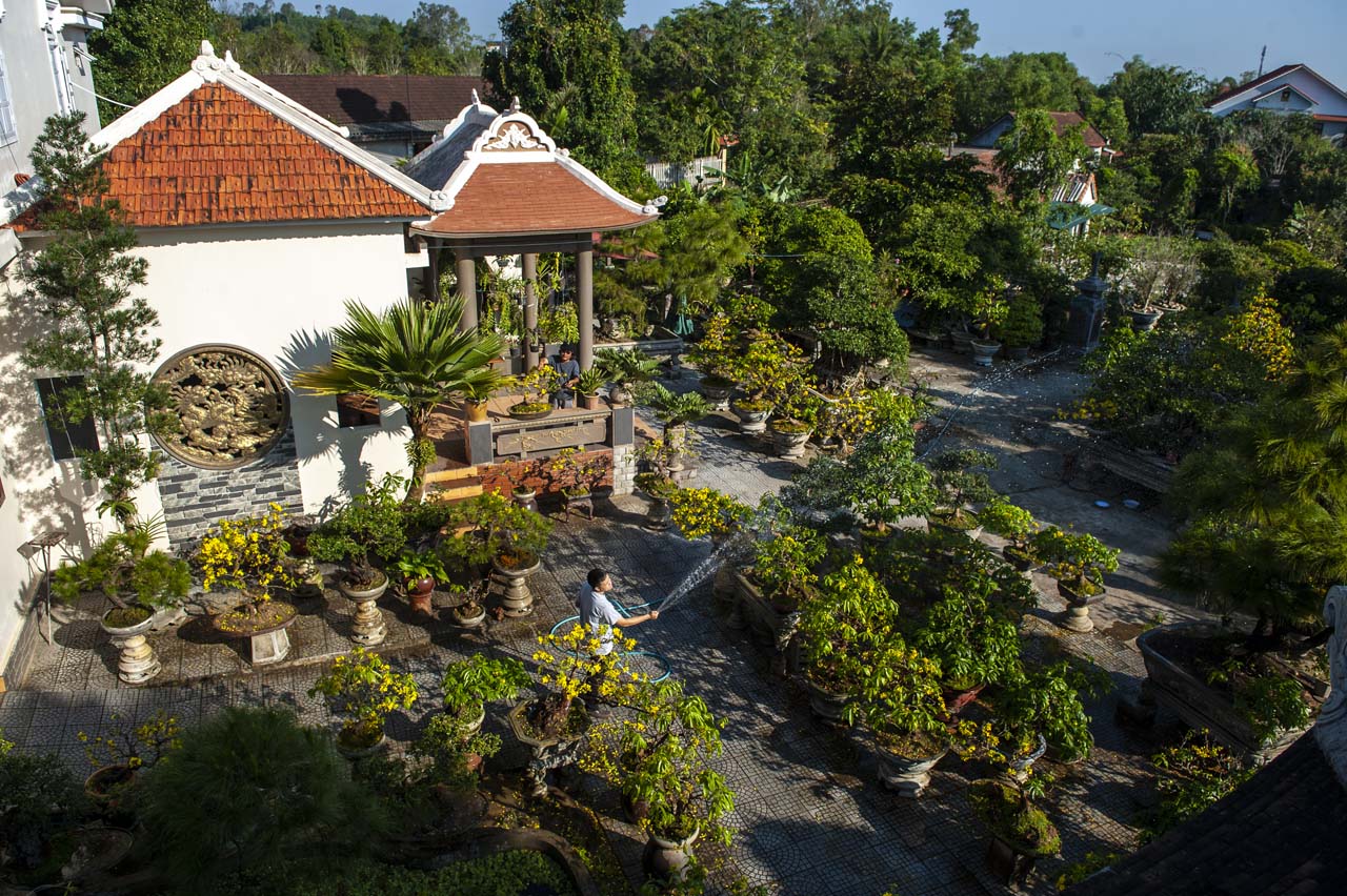 The daily joy of the father and son duo is to take care of their apricot garden The daily joy of the father and son duo is to take care of their apricot garden