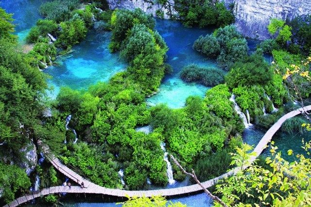 Vườn Quốc gia Bạch Mã.