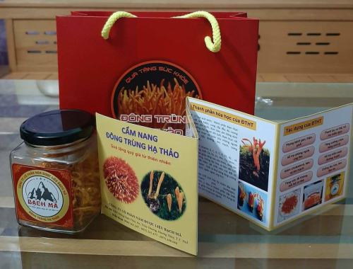 Đông trùng hạ thảo Bạch Mã 