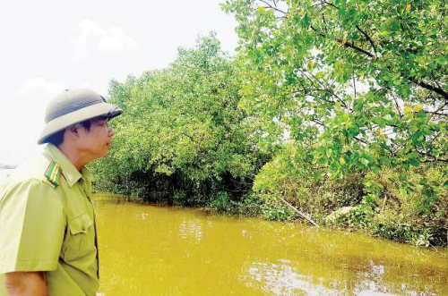 Tràm chim kept in the rising water season