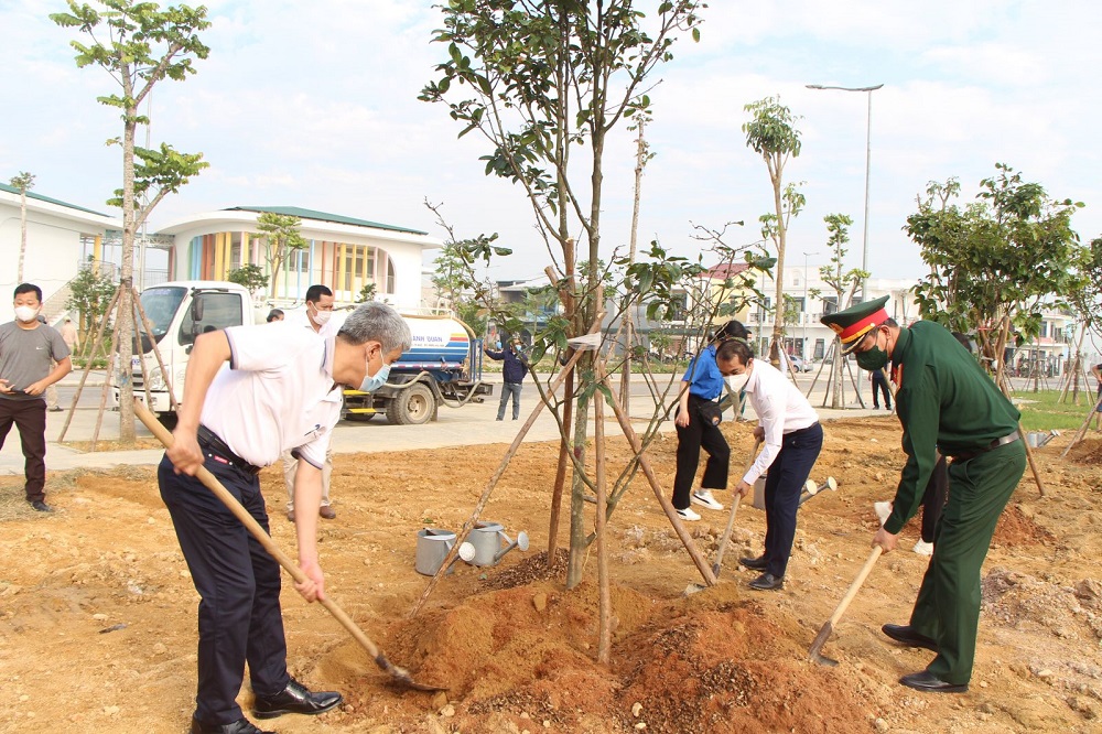 Lãnh đạo tỉnh, TP. Huế trồng mai vàng tại Trường Mầm non Hoàng Mai, phường Hương Sơ