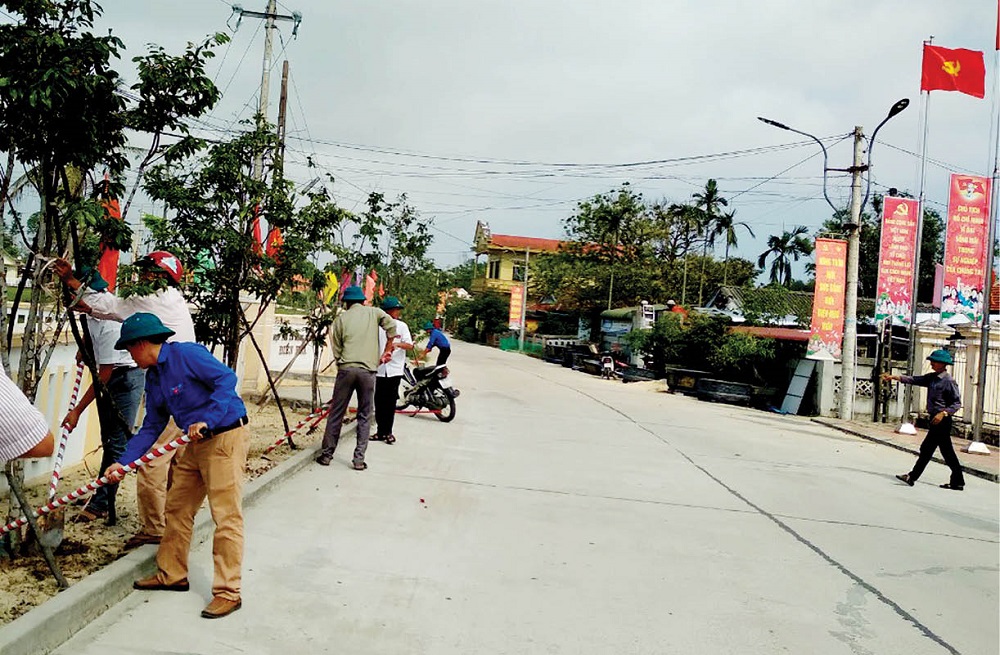 Chăm sóc đường mai tại trung tâm xã