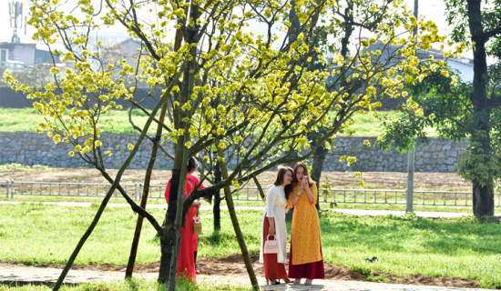 Thông báo về việc nghỉ tết Âm lịch và nghỉ lễ Quốc khánh năm 2023 đối với cán bộ, công chức, viên chức và người lao động