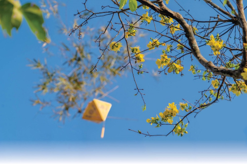 Bà tôi & tết xưa