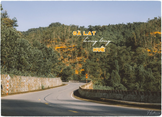 Đường lên A Lưới cảnh đẹp như Đà Lạt