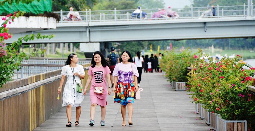   Cầu đi bộ gỗ lim là cây cầu nổi tiếng ở Huế sau thời gian đưa vào sử dụng