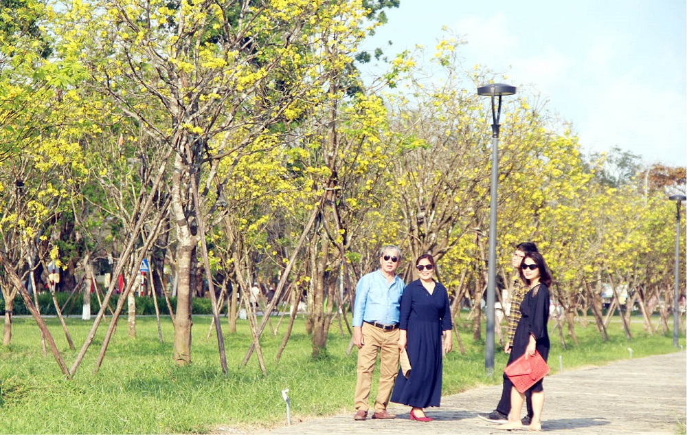 Visitors enjoy the yellow apricot trees in full blossom