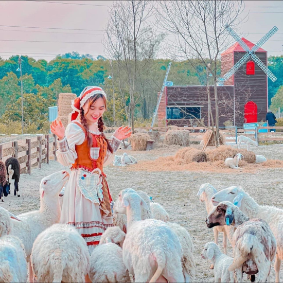 CFarm Hue - Camping - Sheep & Strawberry Farm