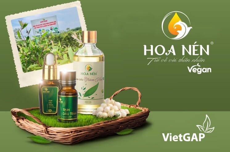 Tinh dầu tràm Huế nguyên chất thương hiệu Hoa Nén