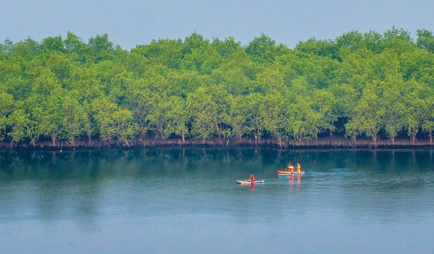  Tour Du lịch Xanh ở phá Tam Giang. Ảnh: Nguyễn Phong