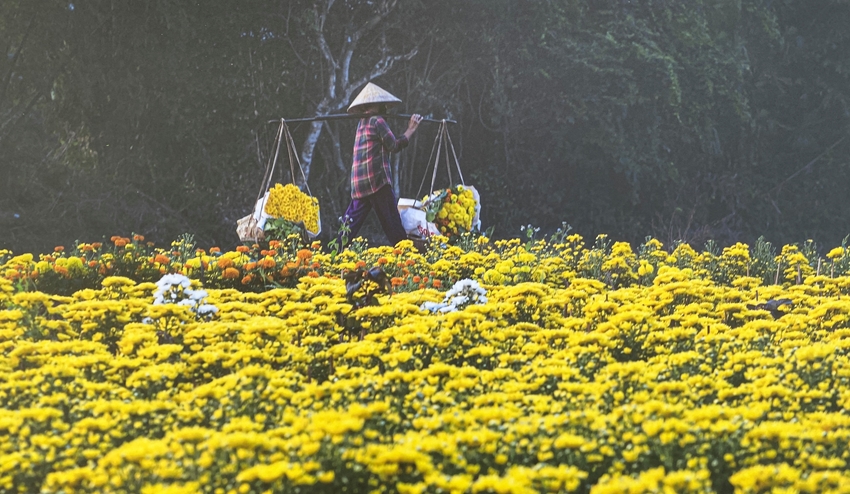 Tác phẩm "Hoa xuân ra chợ" của nhiếp ảnh gia Nguyễn Văn Trực
