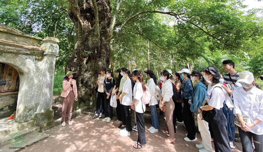  Sinh viên, học sinh tham quan, trải nghiệm tại làng cổ Phước Tích. Ảnh: Đ. Hiếu