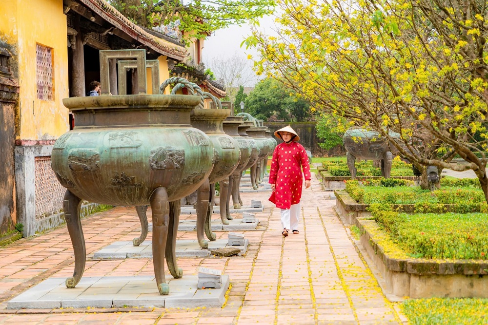 Yellow apricot blossoms in Hue Royal Palace. Photo: B.Minh