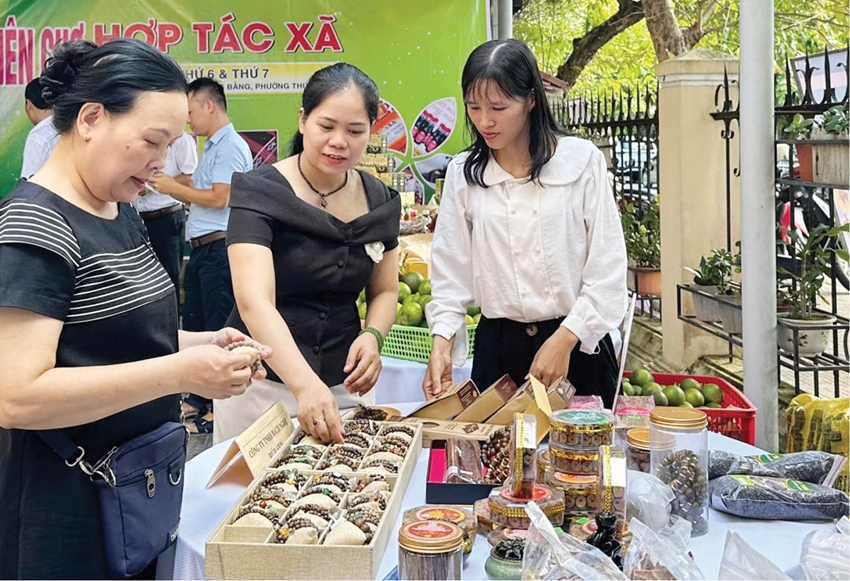  Sản phẩm của các cơ sở kinh doanh, sản xuất do phụ nữ làm chủ tham gia phiên chợ HTX năm 2025 