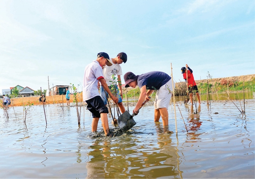 Planting forests to increase green space for Hue