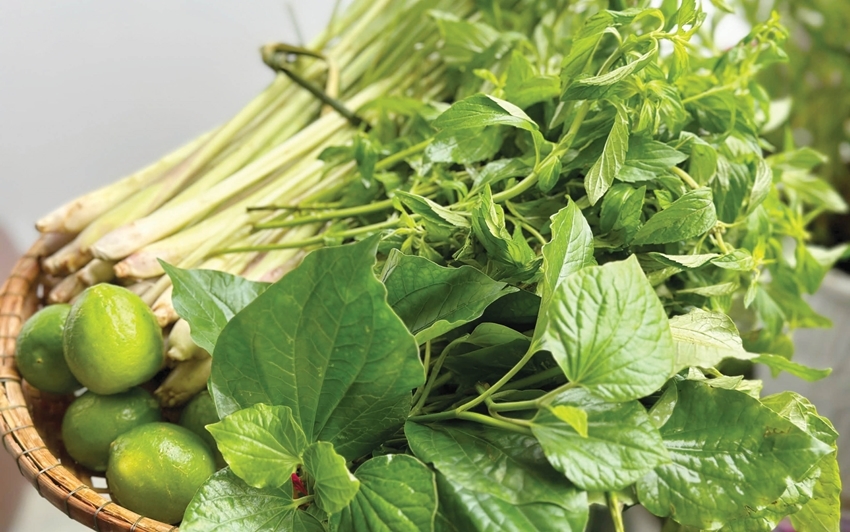 The herbs that create the aromatic flavors of Hue cuisine