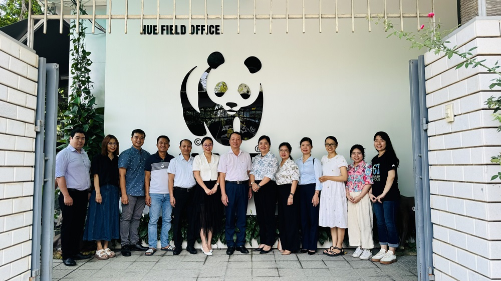 Huế - Hình mẫu Đô thị Giảm Nhựa tại Miền Trung Việt Nam