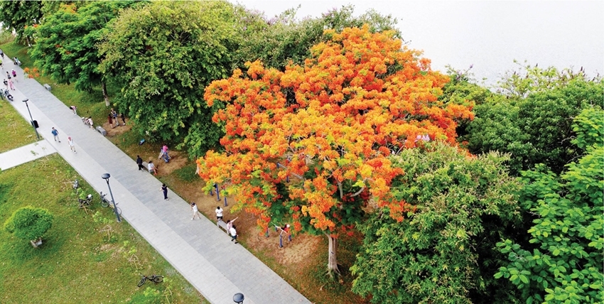 A picturesque riverside path