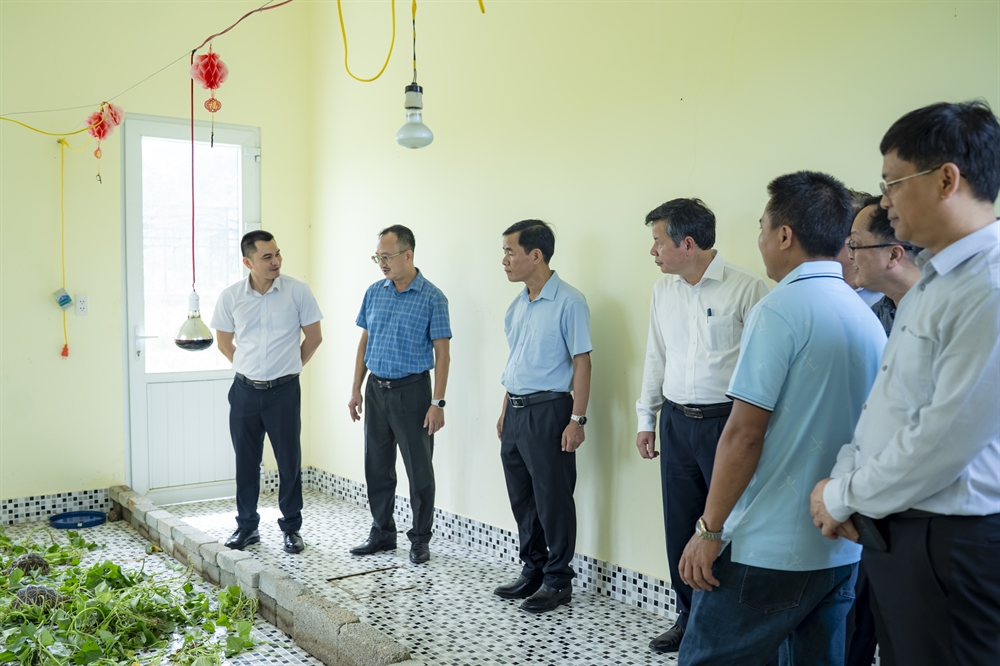 Khai trương Phòng trưng bày Lịch sử Tự nhiên tại Phong Điền