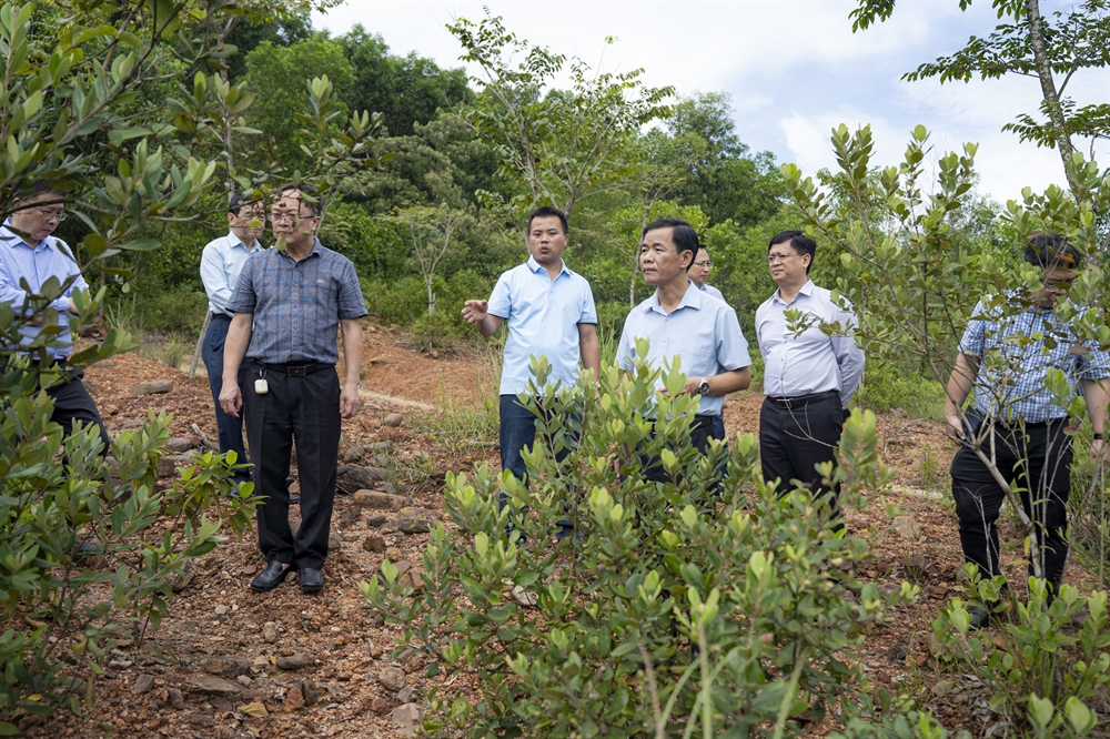 Khai trương Phòng trưng bày Lịch sử Tự nhiên tại Phong Điền