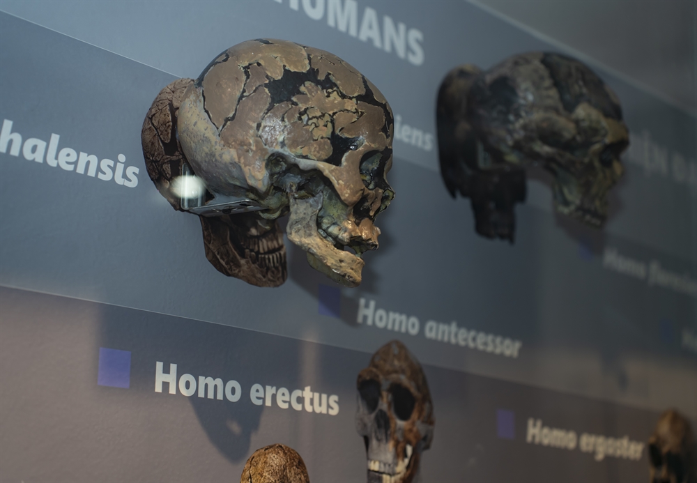 Khai trương Phòng trưng bày Lịch sử Tự nhiên tại Phong Điền