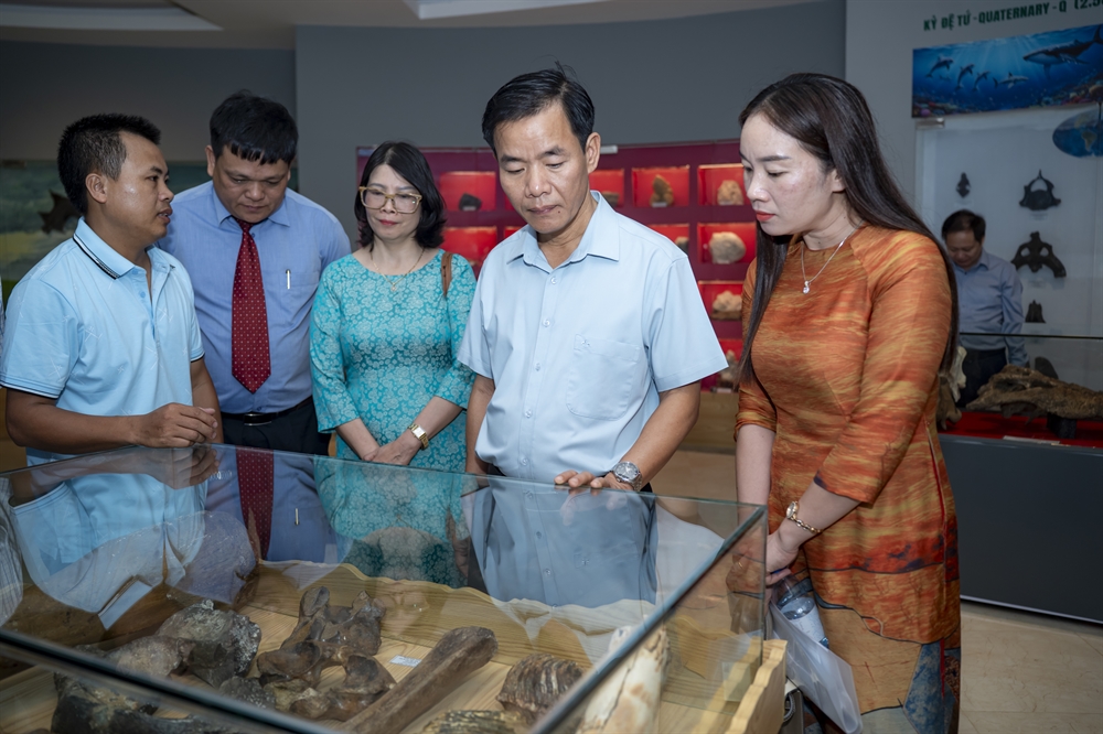 Khai trương Phòng trưng bày Lịch sử Tự nhiên tại Phong Điền