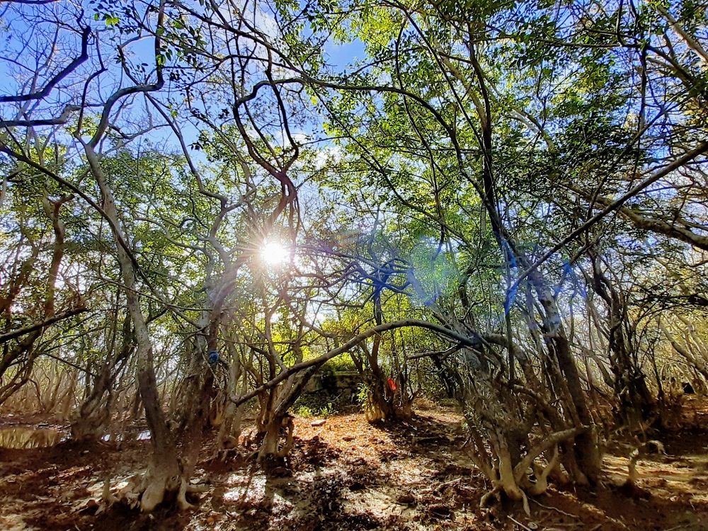 Lạc vào chốn thiên nhiên hoang sơ.
