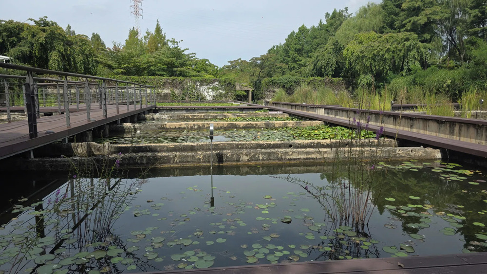 Seonyudo – từ nhà máy nước đến công viên xanh