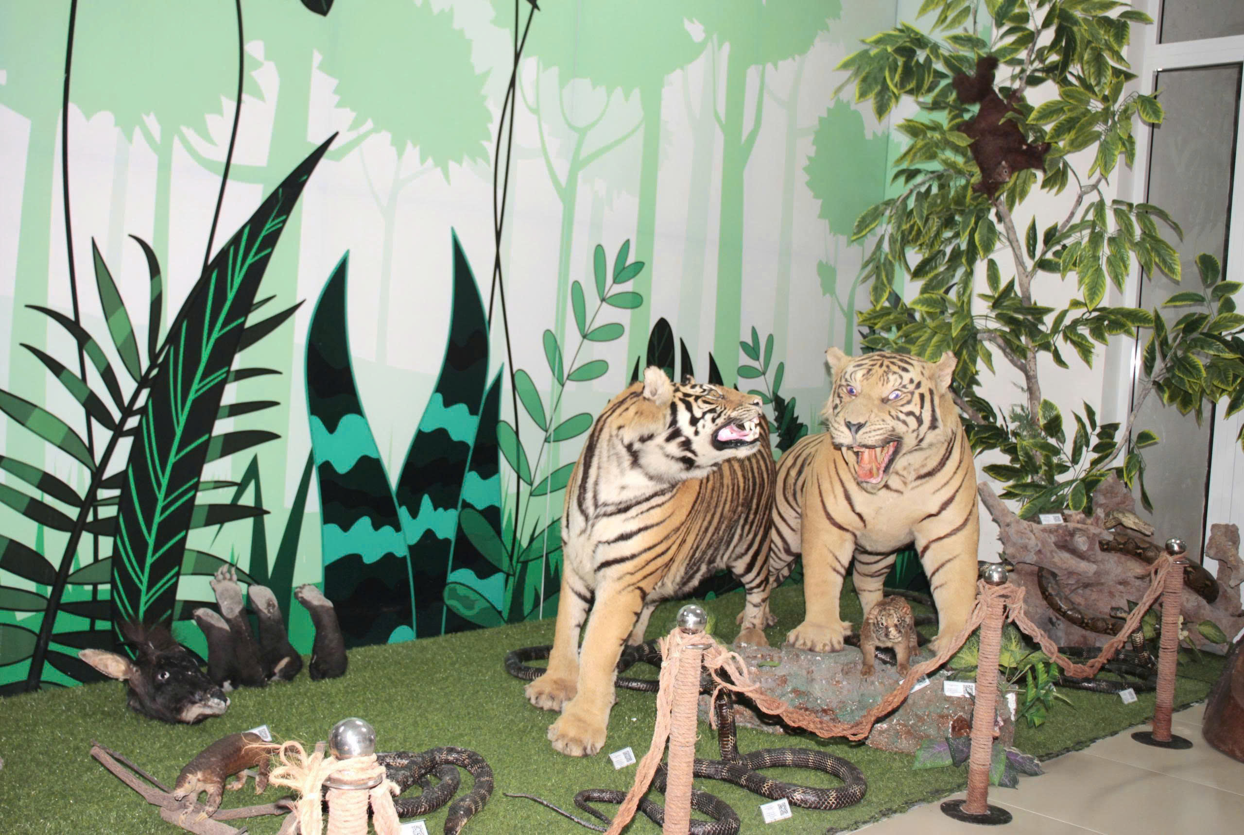 Bảo tàng Thiên nhiên duyên hải miền Trung