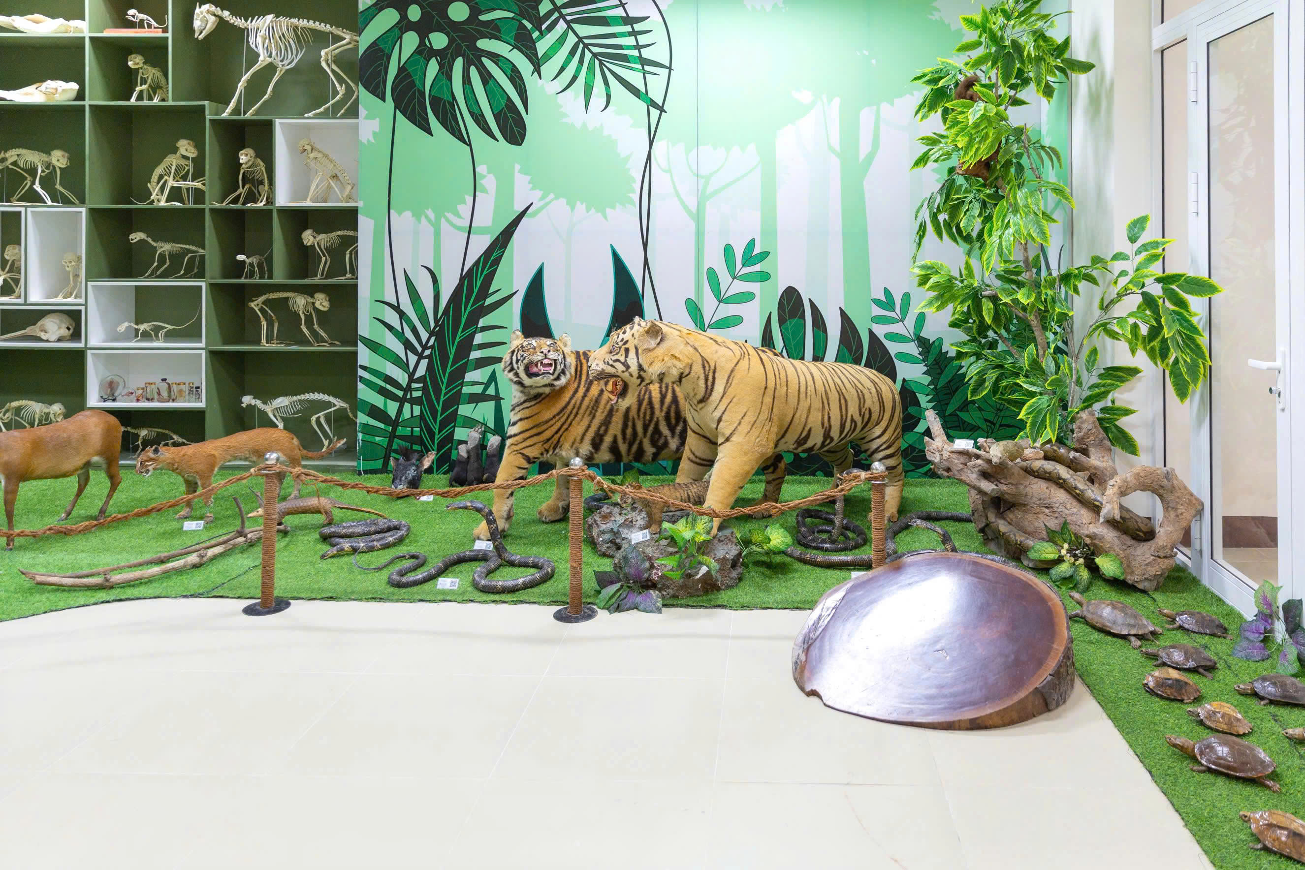 Bảo tàng Thiên nhiên duyên hải miền Trung